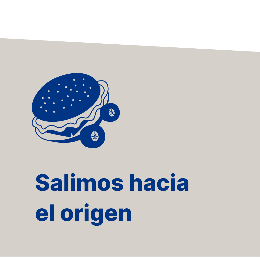 Salimos hacia el origen